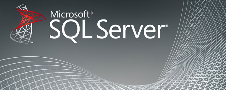 How to delete large records in batches